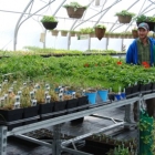 a couple standing in front of plants