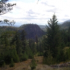 A scenic view with trees and rolling hills.
