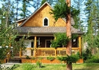 home in the forest