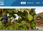 Screenshot of a website