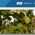 Screenshot of a website