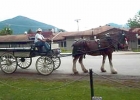 Rosemary Hughes in a carriage