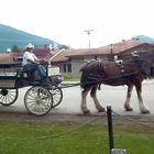 Rosemary Hughes in a carriage