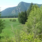 Photo of a pasture