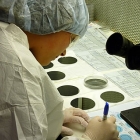 Photo of a technician in a lab
