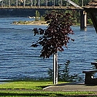 bridges and river in Trail BC